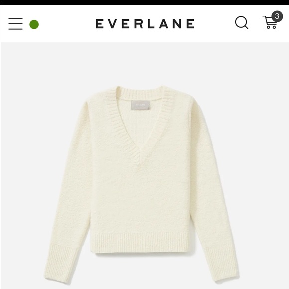 Everlane Teddy V-Neck Sweater - Picture 3 of 3